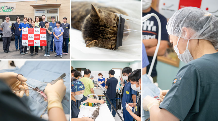 第一回 デモオペ