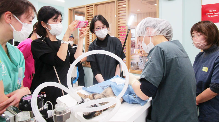 第二回 デモオペ