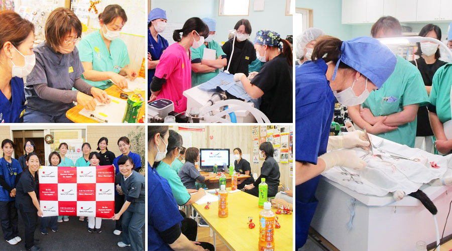 第二回 デモオペ