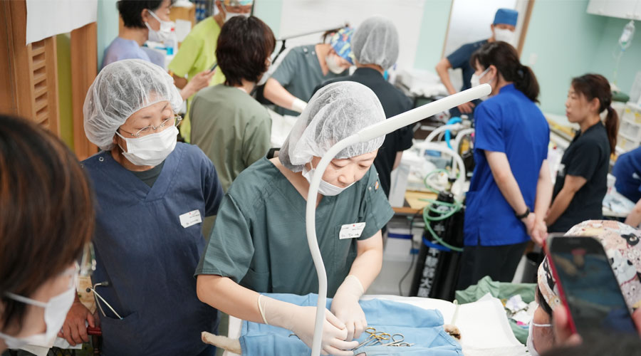 トレーニングデイのご報告