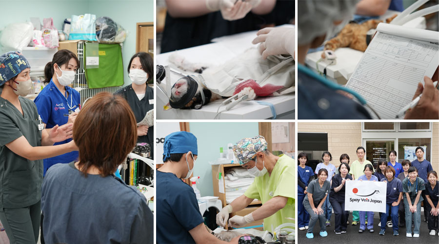 トレーニングデイのご報告