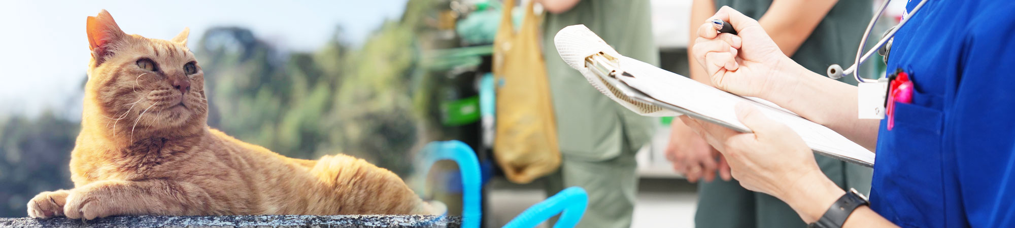 クリニックイメージ