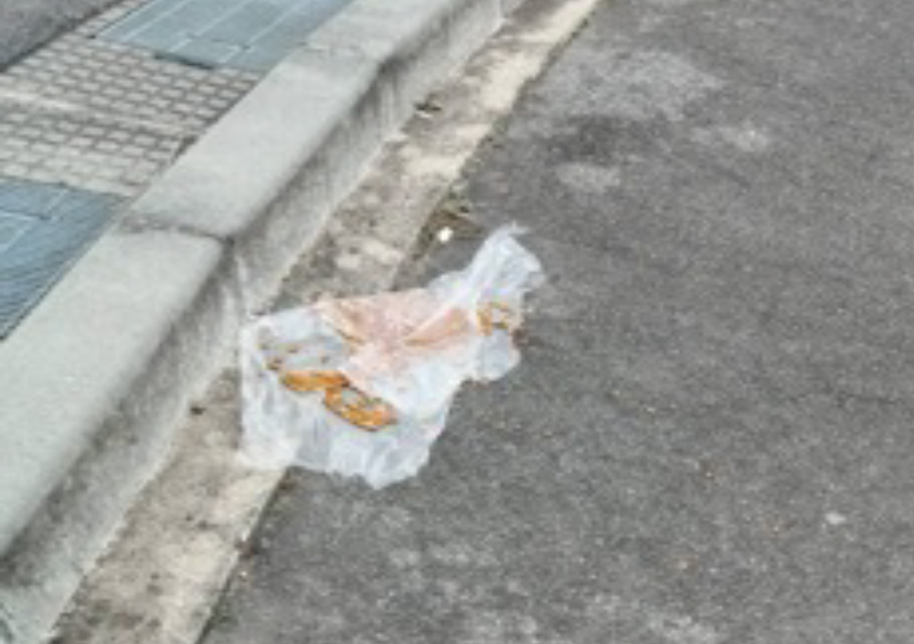 道路上に撒かれた餌やり