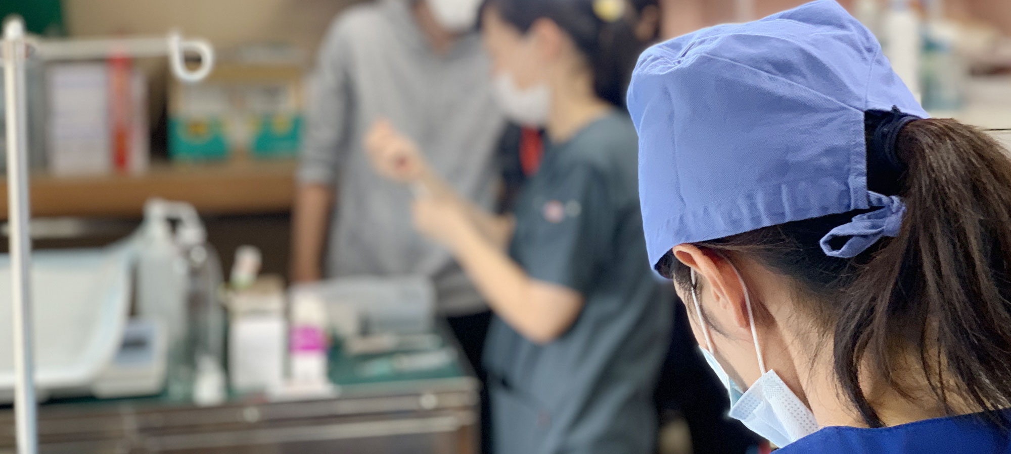 スペイ ベッツ ジャパン　メインイメージ04