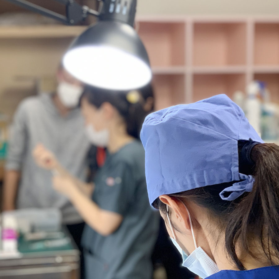 スペイ ベッツ ジャパン　メインイメージ04