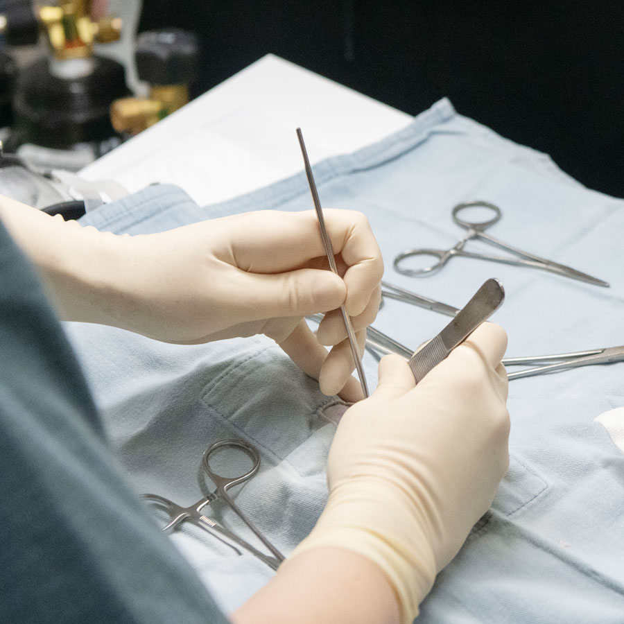 スペイ ベッツ ジャパン　メインイメージ08