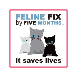 felinefixbyfive
