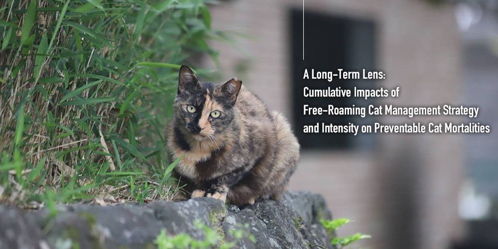 精巧なシミュレーション