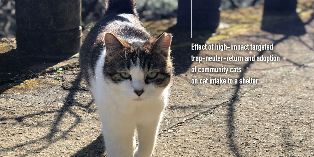 「地域の猫」の高負荷一斉TNRと譲渡が<br>シェルターの受入れに及ぼす影響について