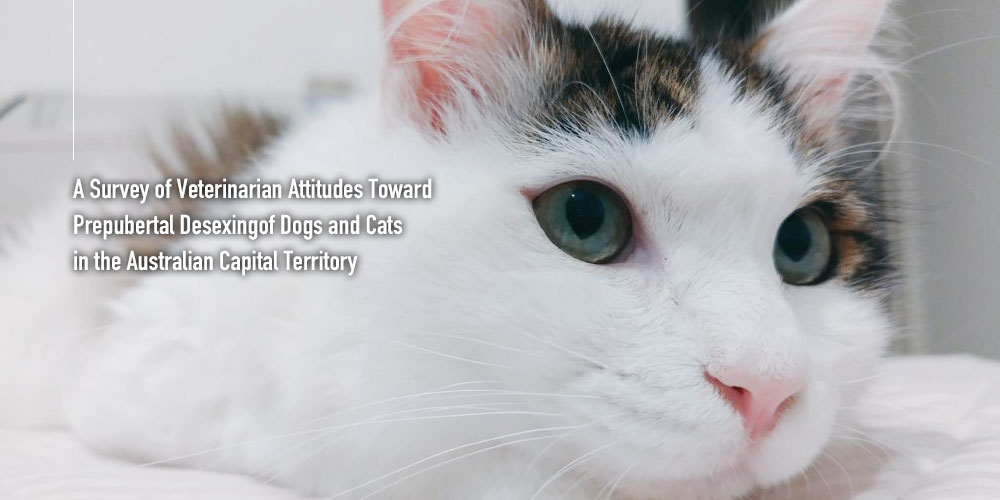 オーストラリア首都特別地域における犬や猫の性成熟前不妊去勢手術に対する獣医師の態度に関する調査