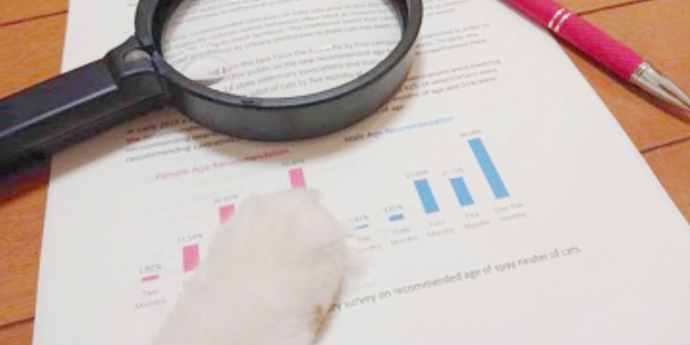 全国の動物病院に聞いた！犬猫の不妊去勢手術推奨時期の実態調査について